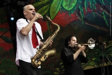 Fred Rocksteady jazz trio