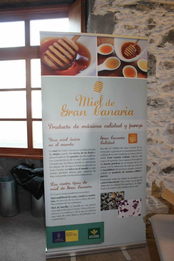 Arte y gastronomía en San Martí­n