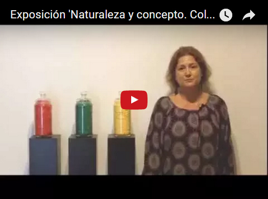 Naturaleza y concepto. Colección CAAM Canarias