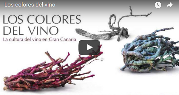 Los colores del vino